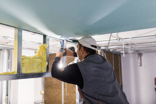 Best Eco-Friendly Insulation in Tye, TX